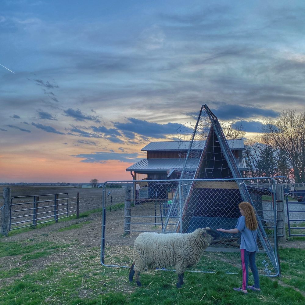 So, You Want to Raise Farm Kids.